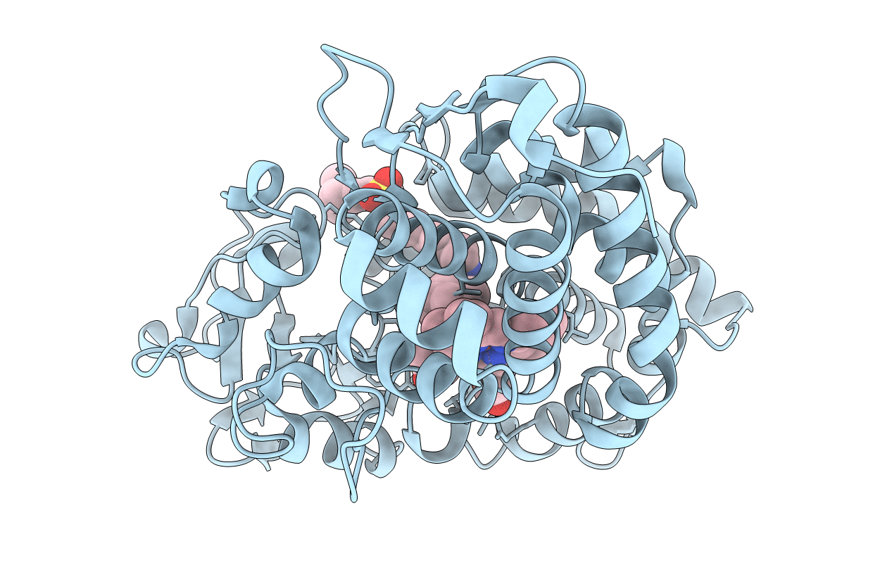3P6M image