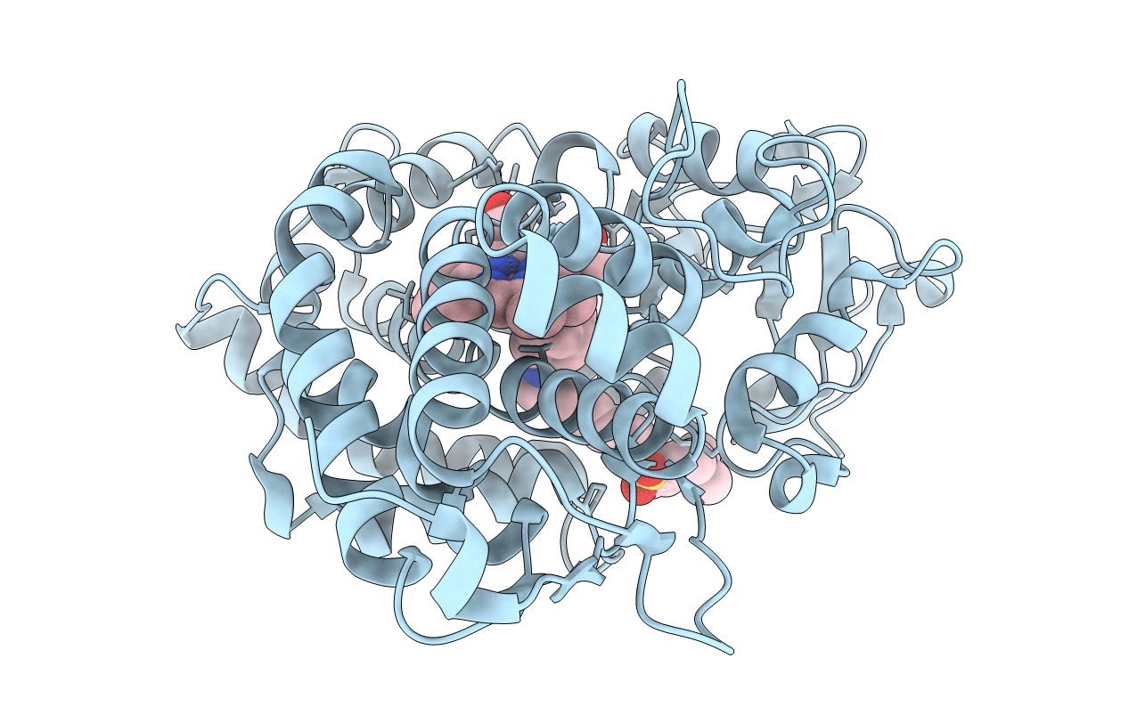 3P6N image