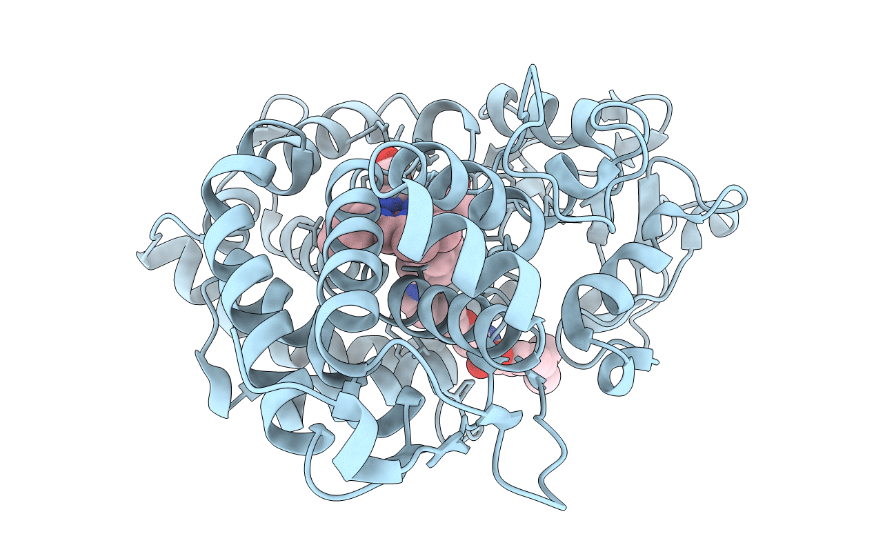3P6O image
