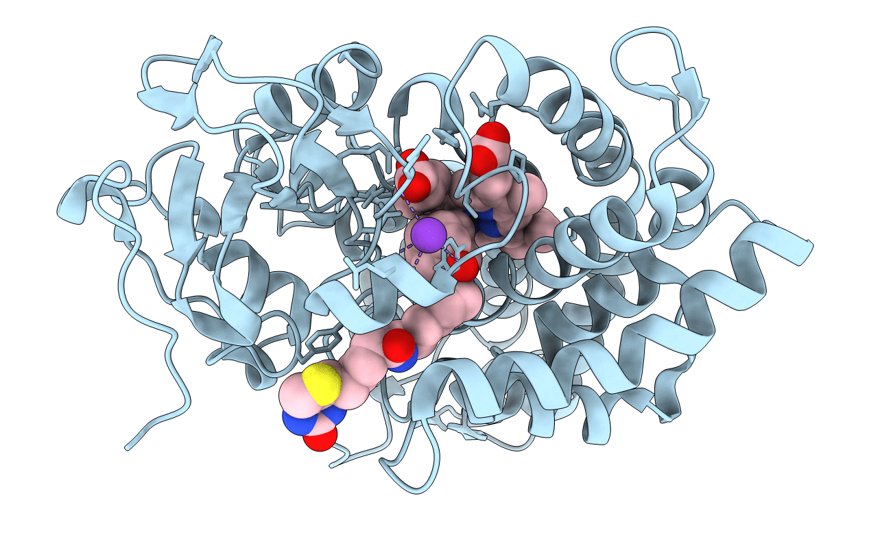 3P6P image