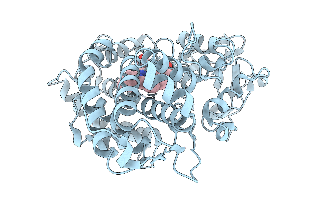 3P6R image