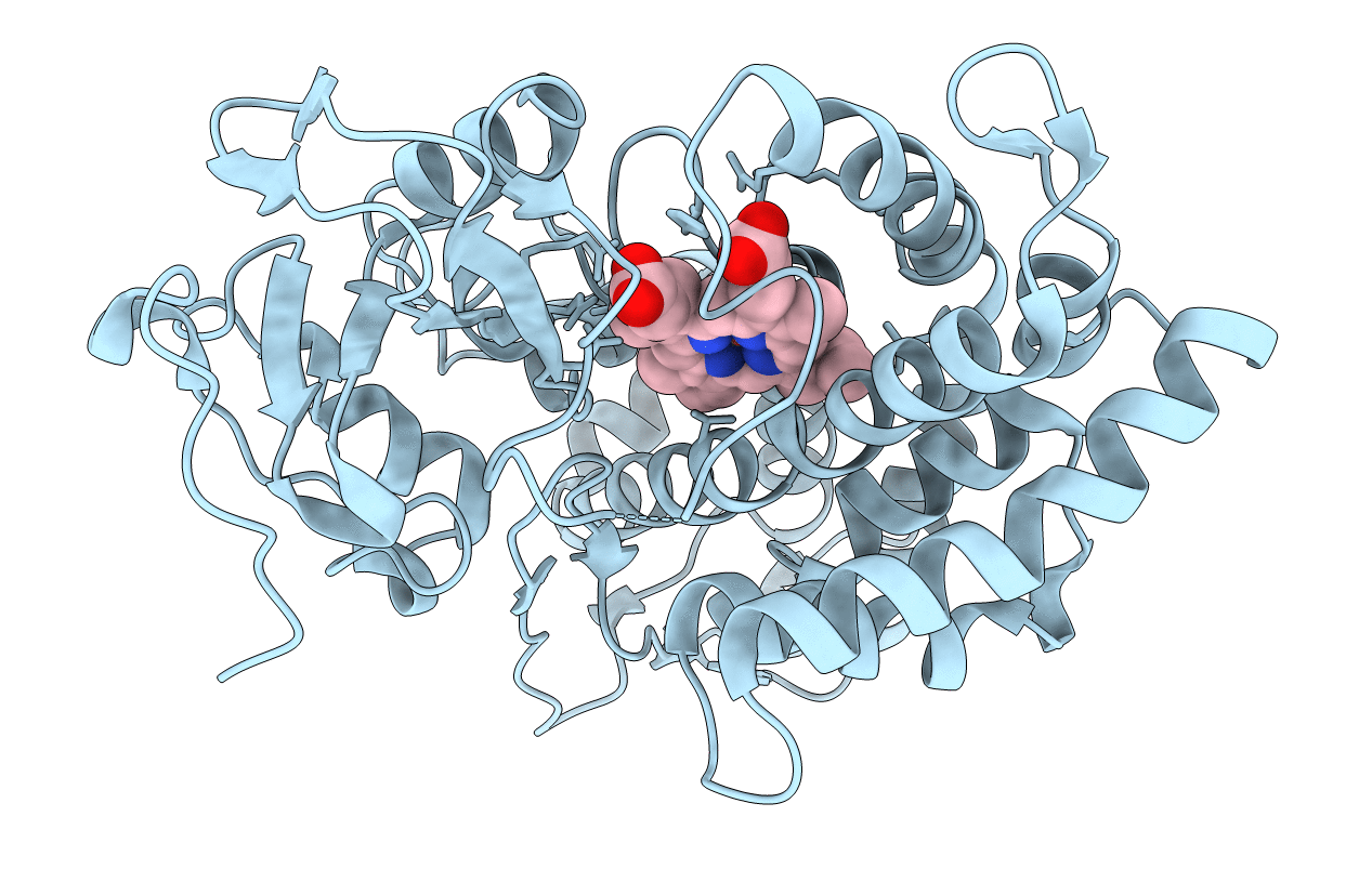 3P6S image