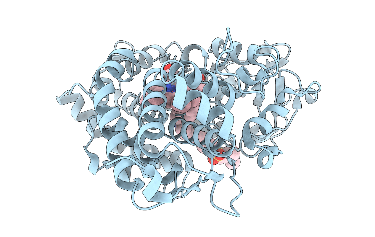 3P6T image