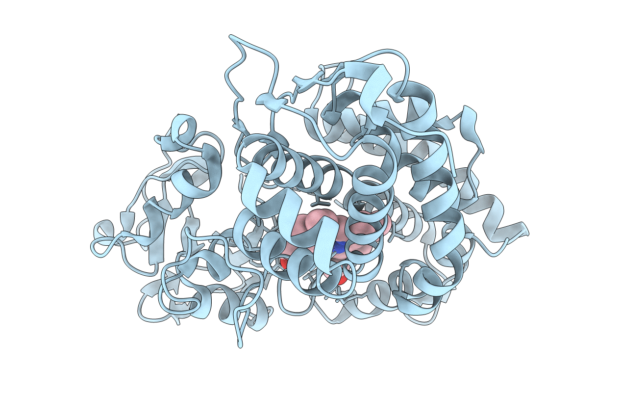 3P6V image