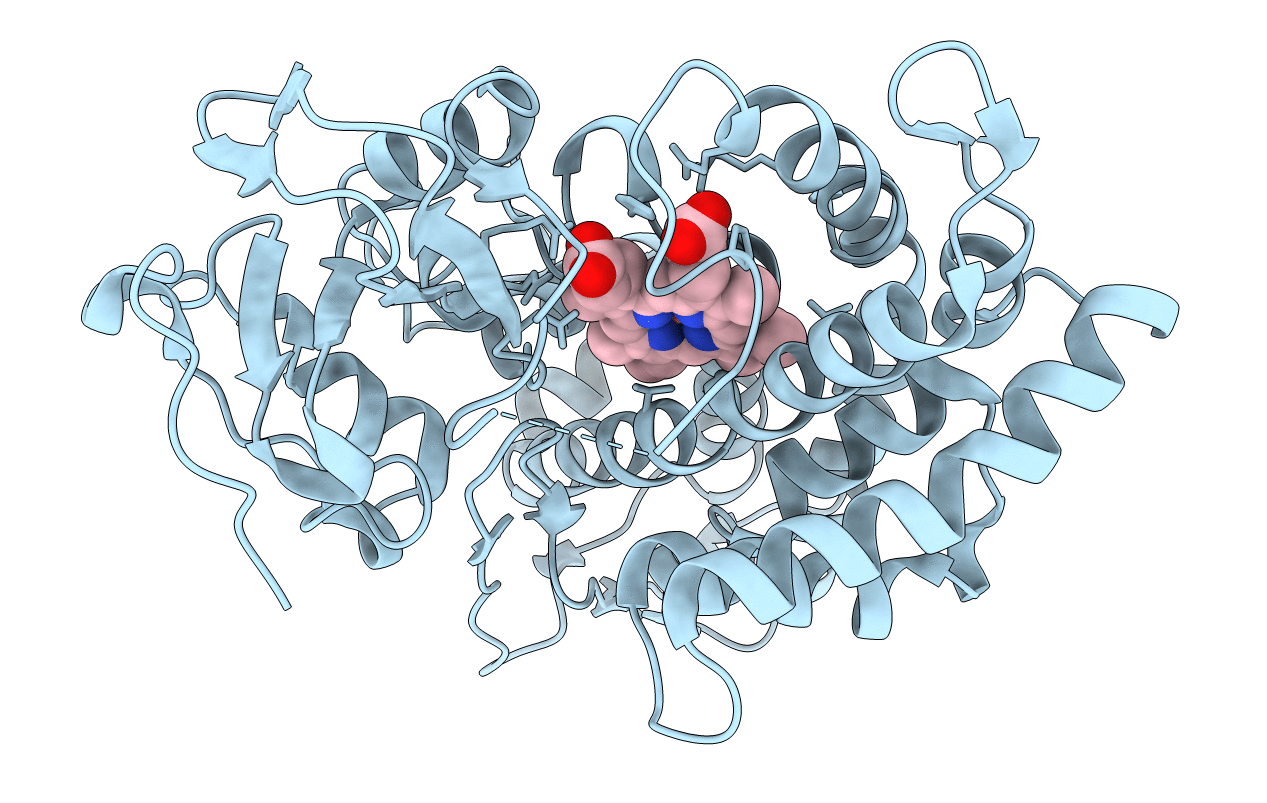 3P6W image