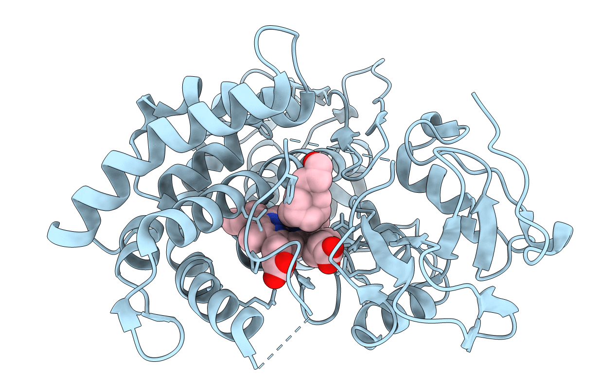 3P6X image