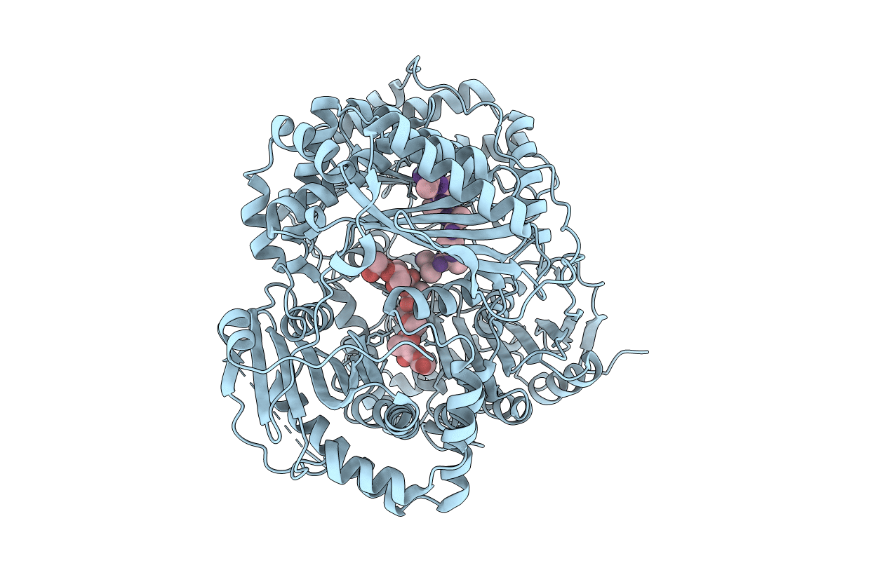 3P7O image