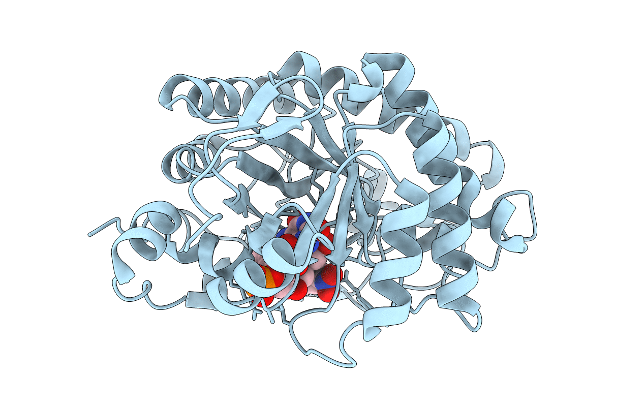 3P80 image