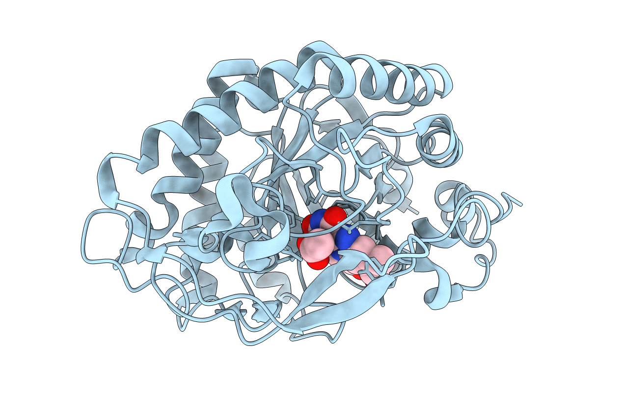 3P82 image