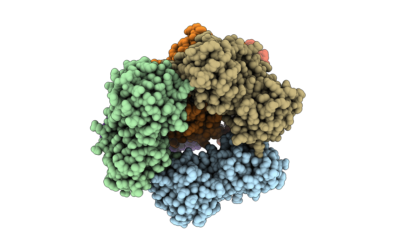 3P83 image