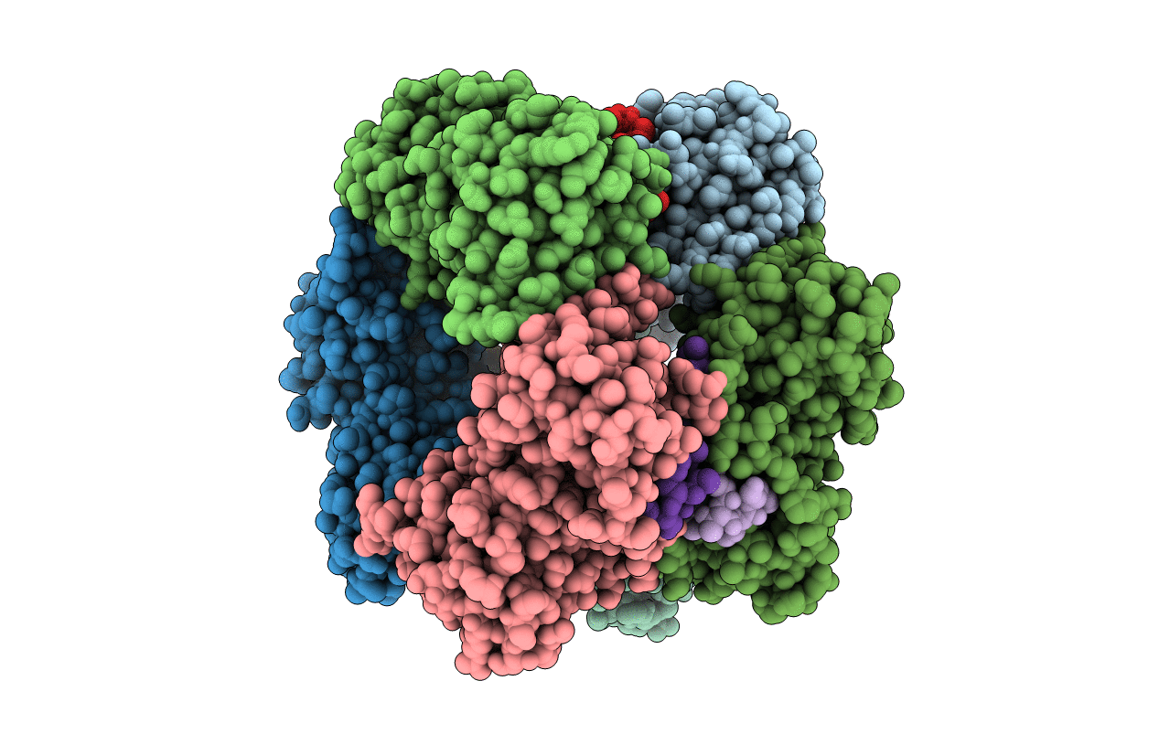 3P87 image