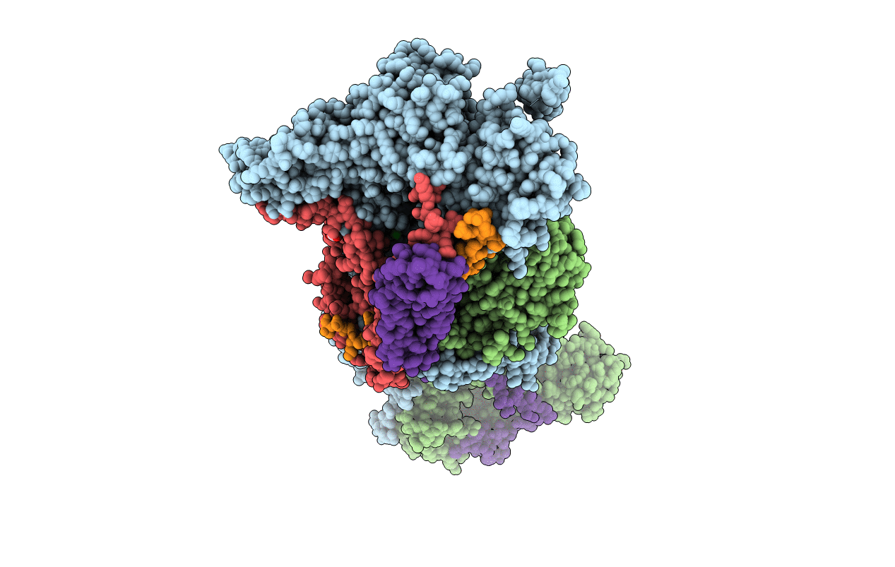 3P8C image