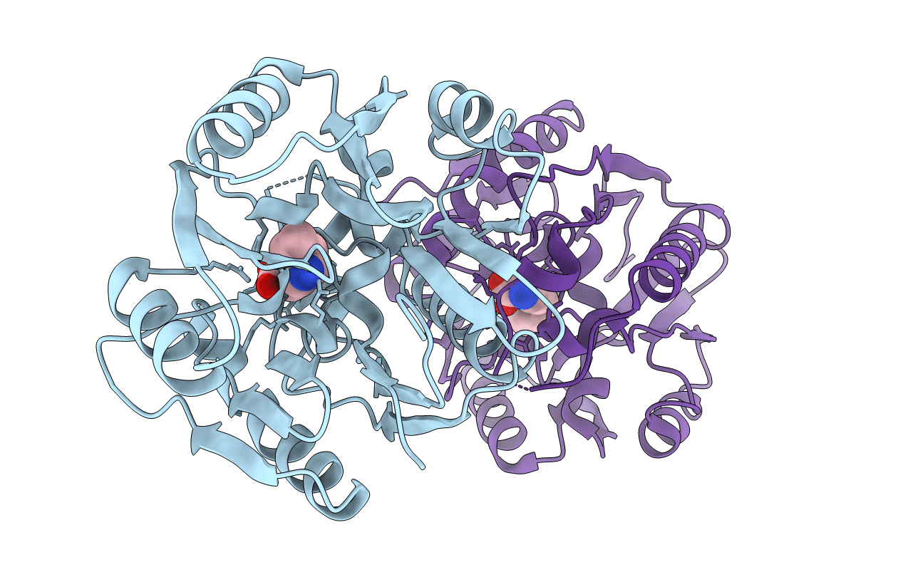3P8E image
