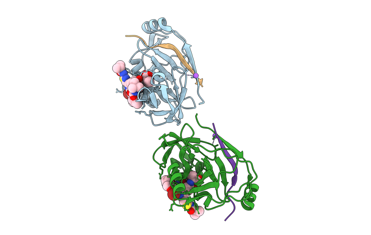 3P8N image