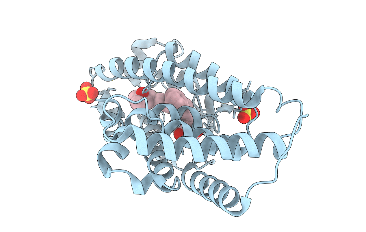3P8X image