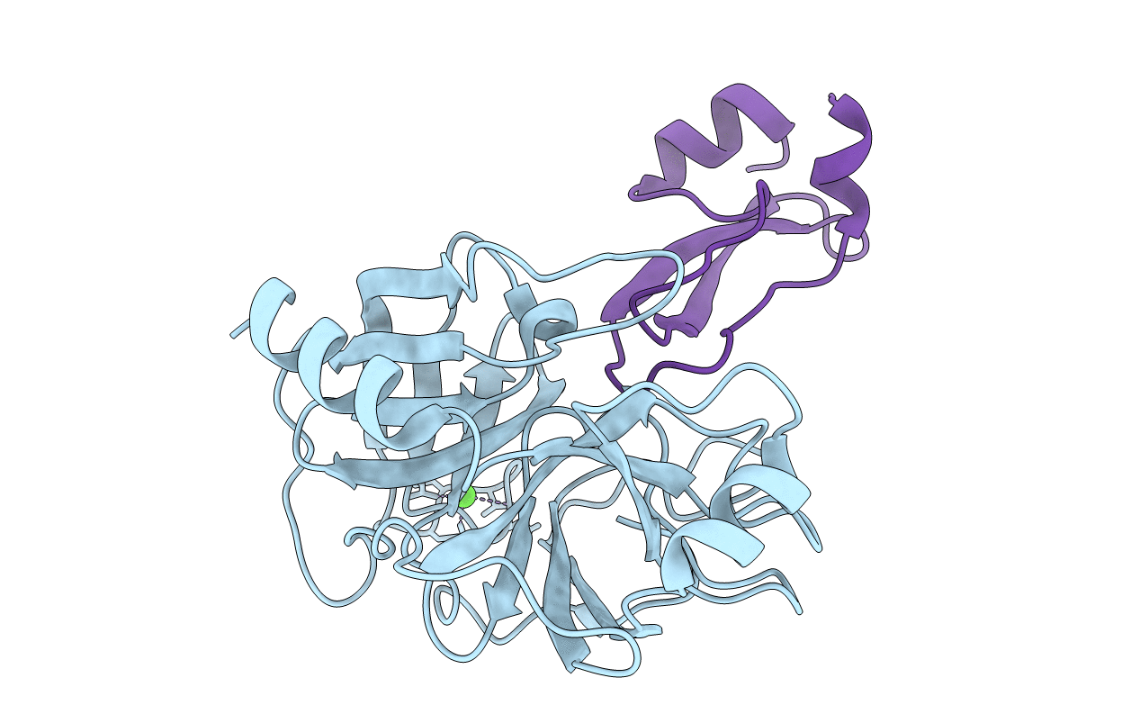 3P92 image