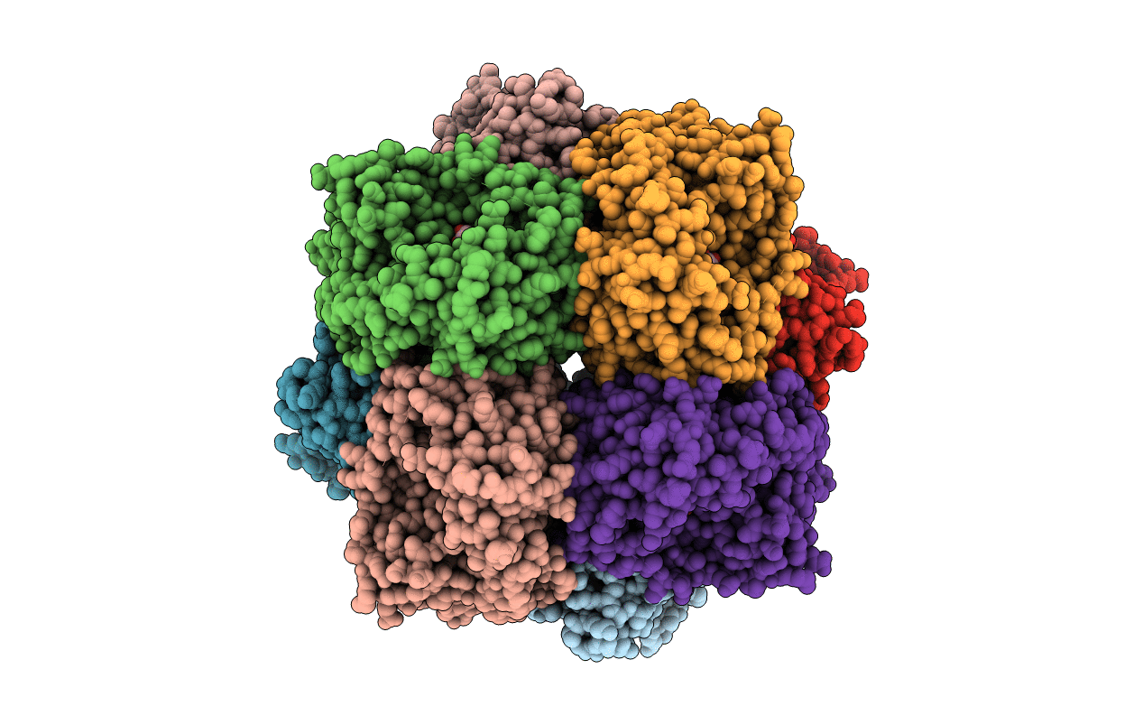 3P93 image