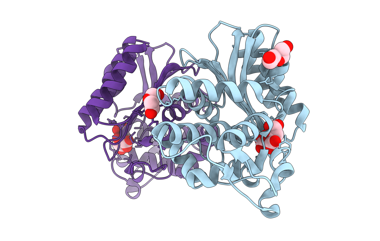 3P98 image
