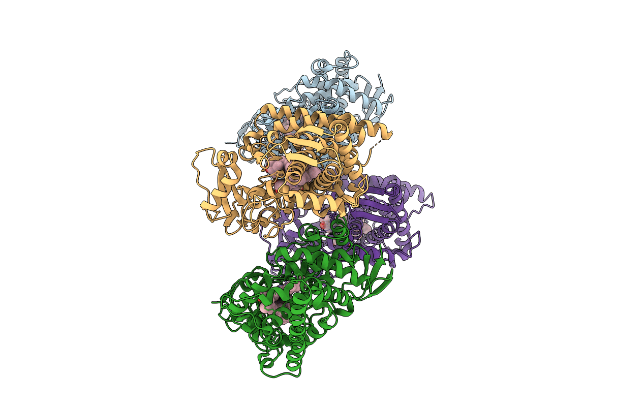 3P99 image