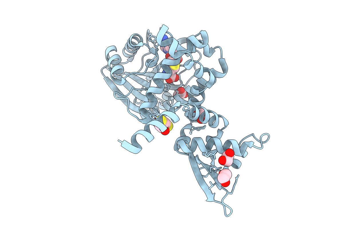 3P9C image