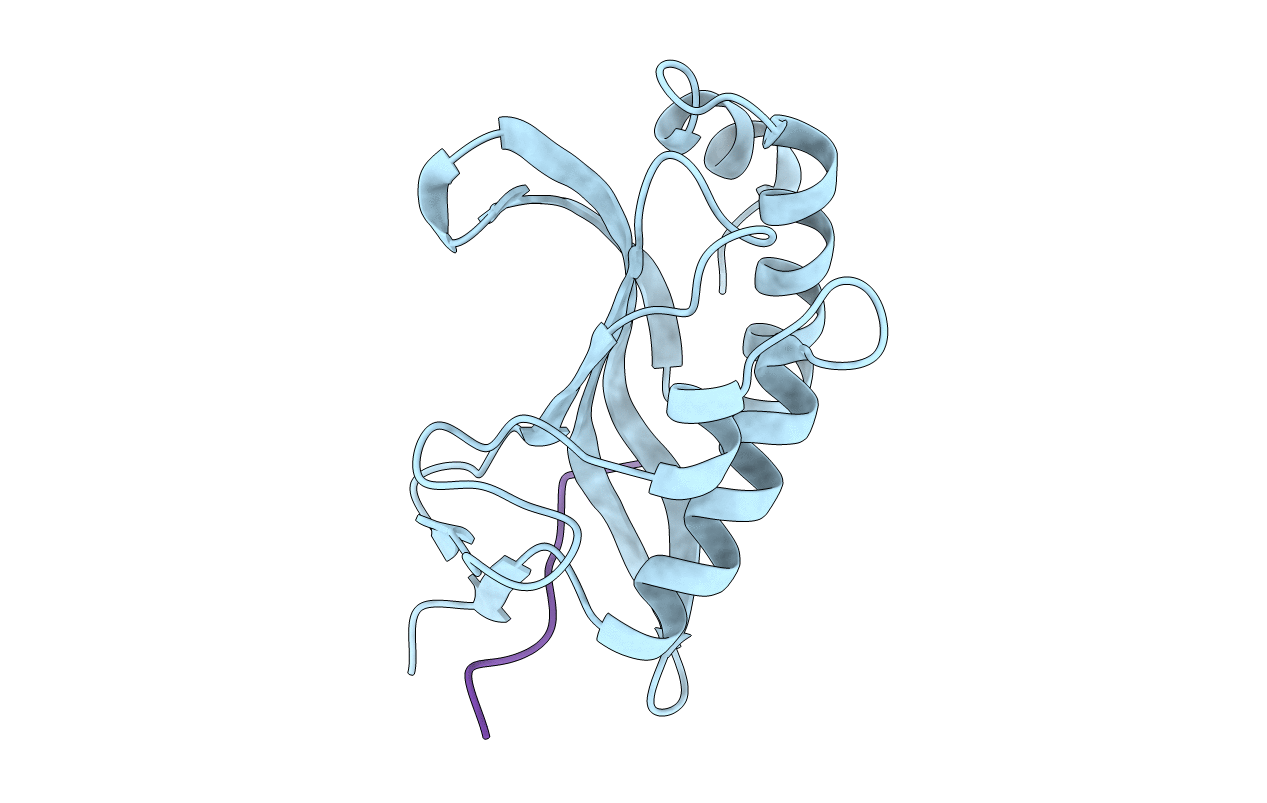 3P9G image