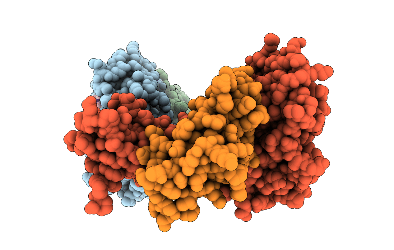 3P9L image