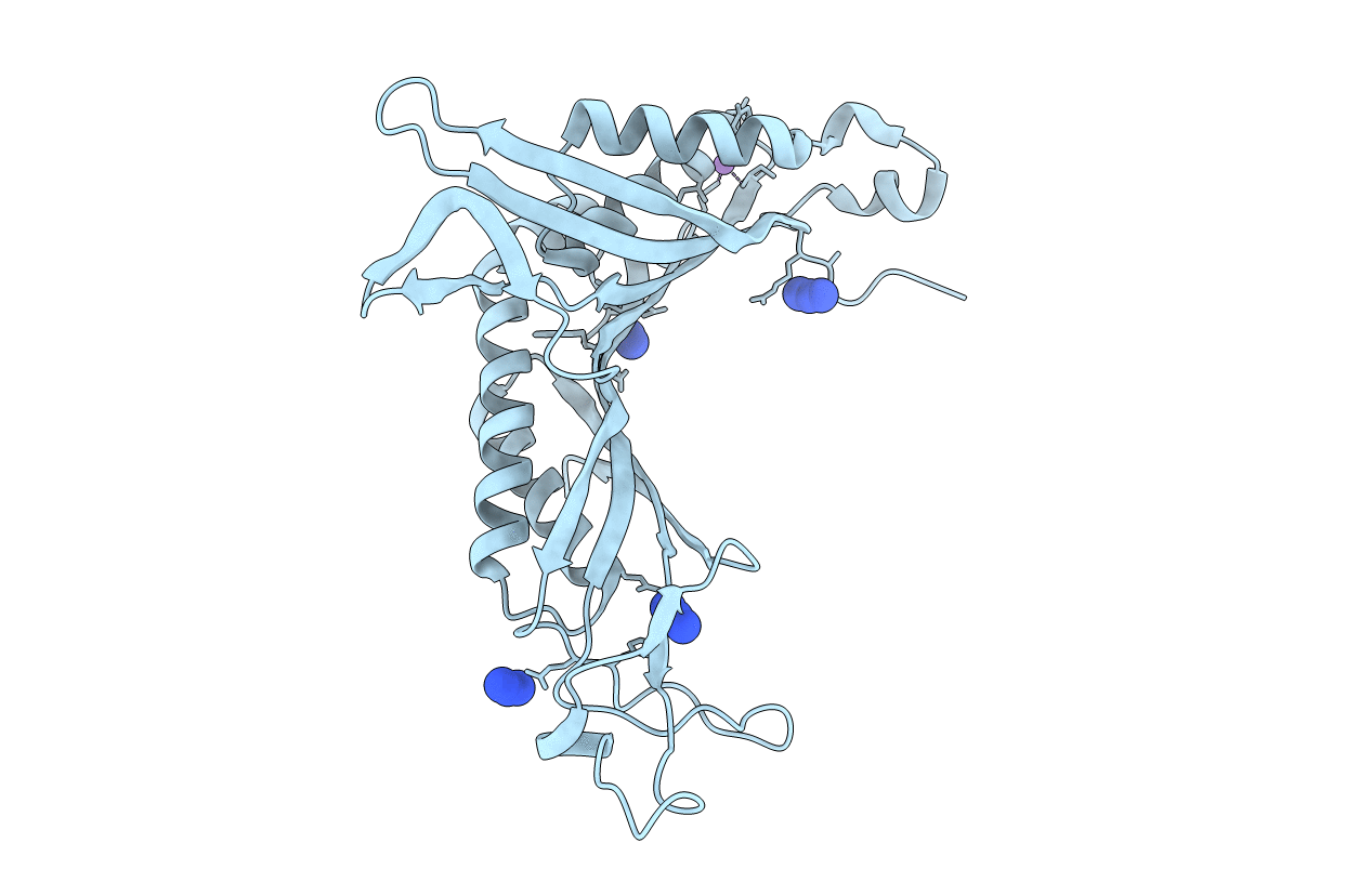 3P9O image