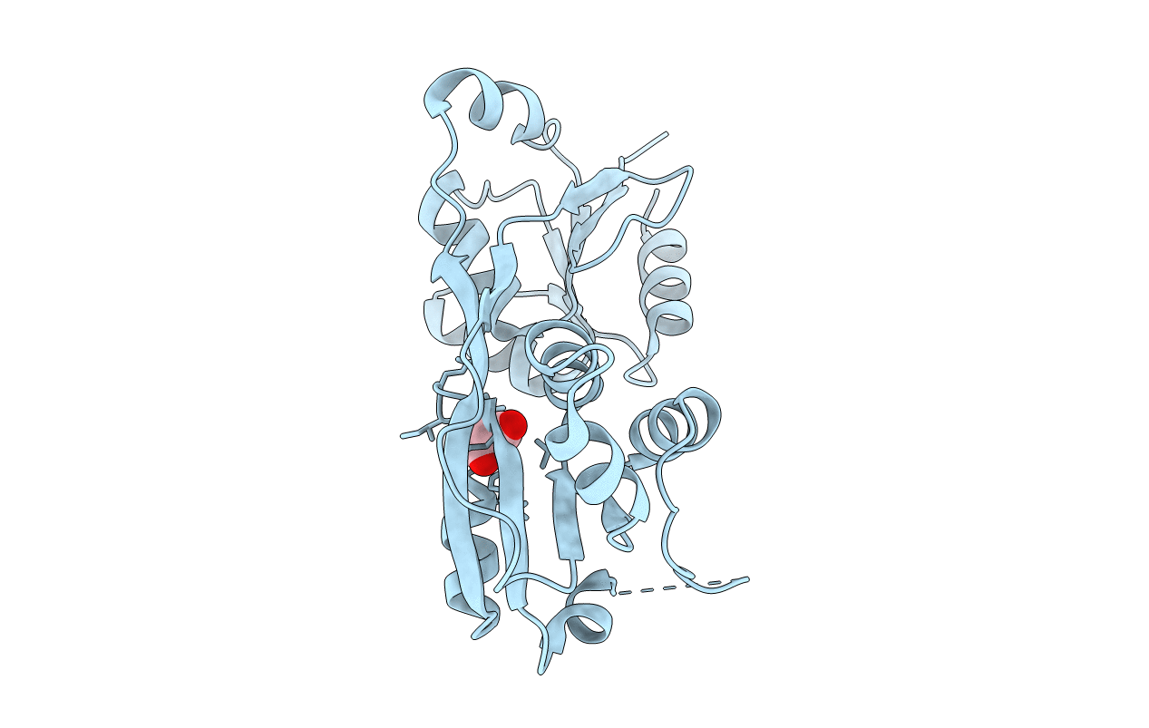 3P9Z image