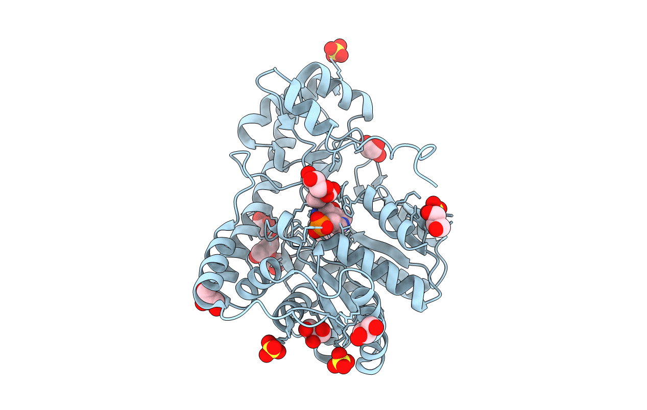 3PA9 image