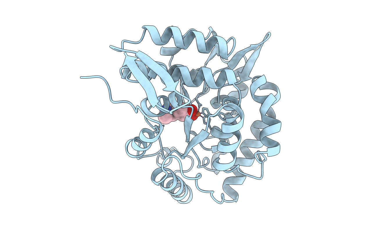 3PAH image