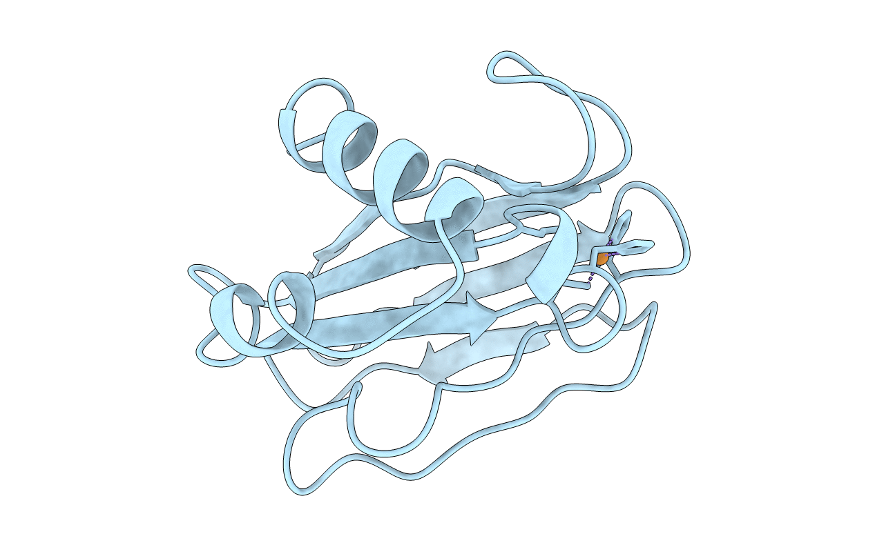 3PAZ image