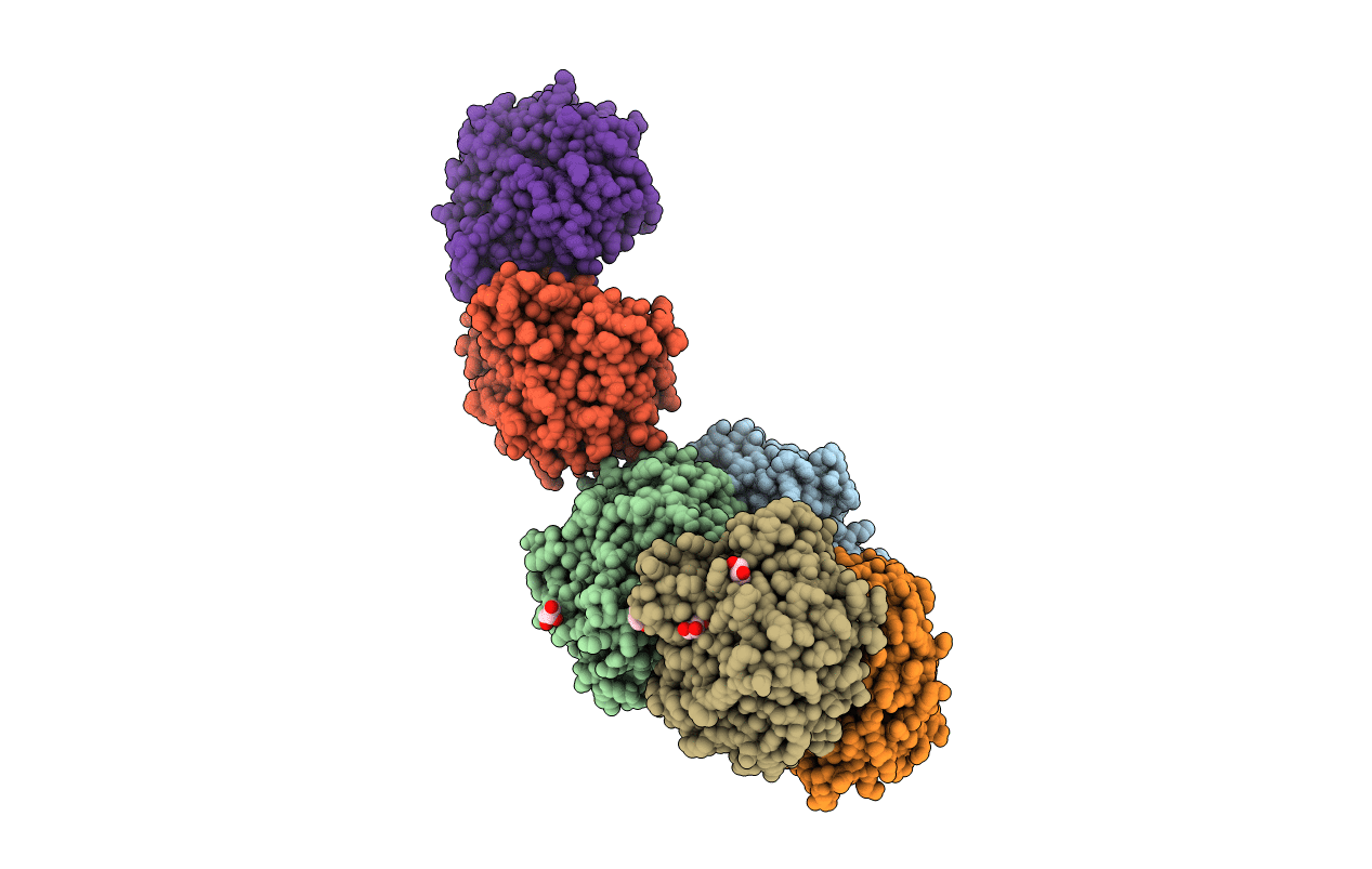 3PB2 image