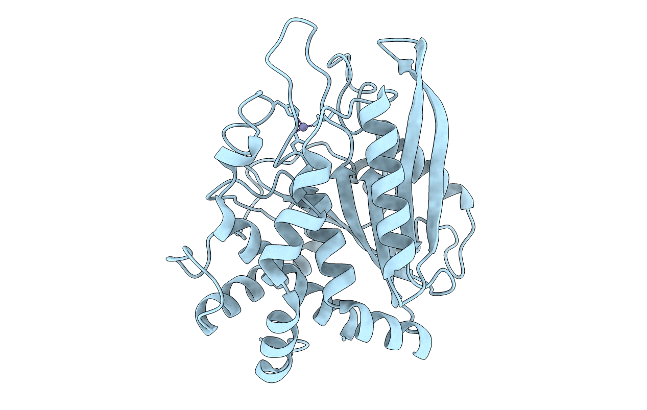 3PB4 image