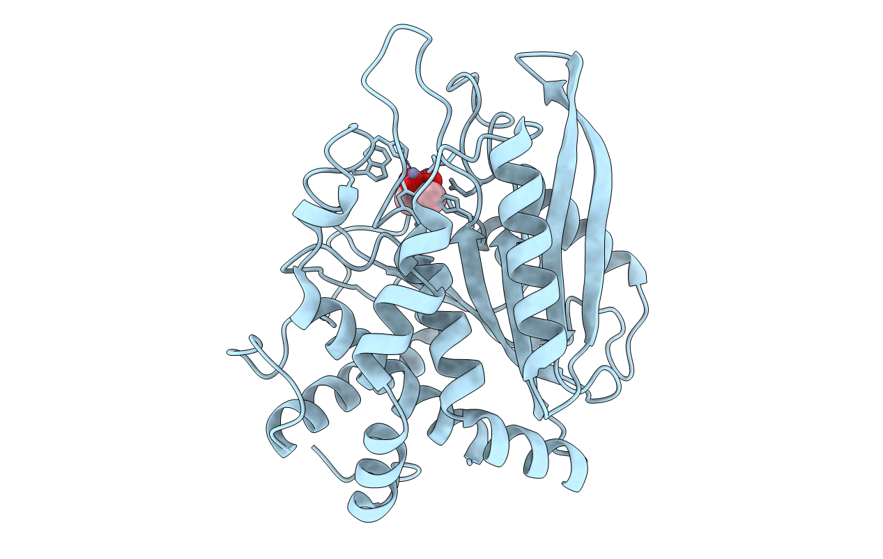 3PB6 image