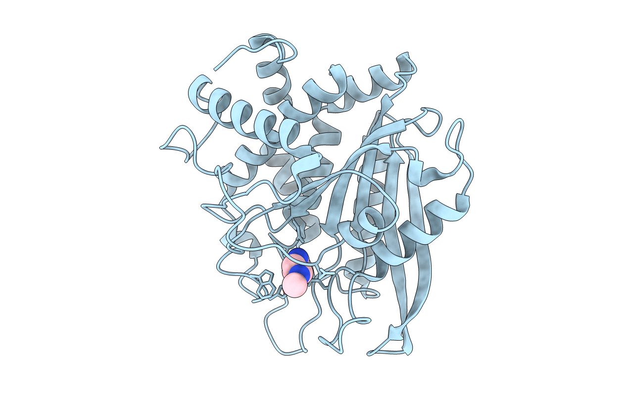 3PB8 image