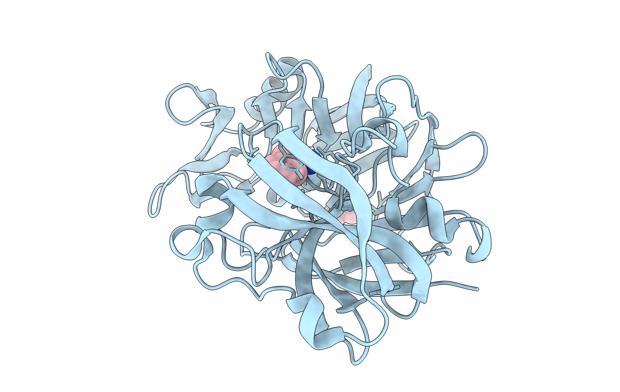 3PBD image