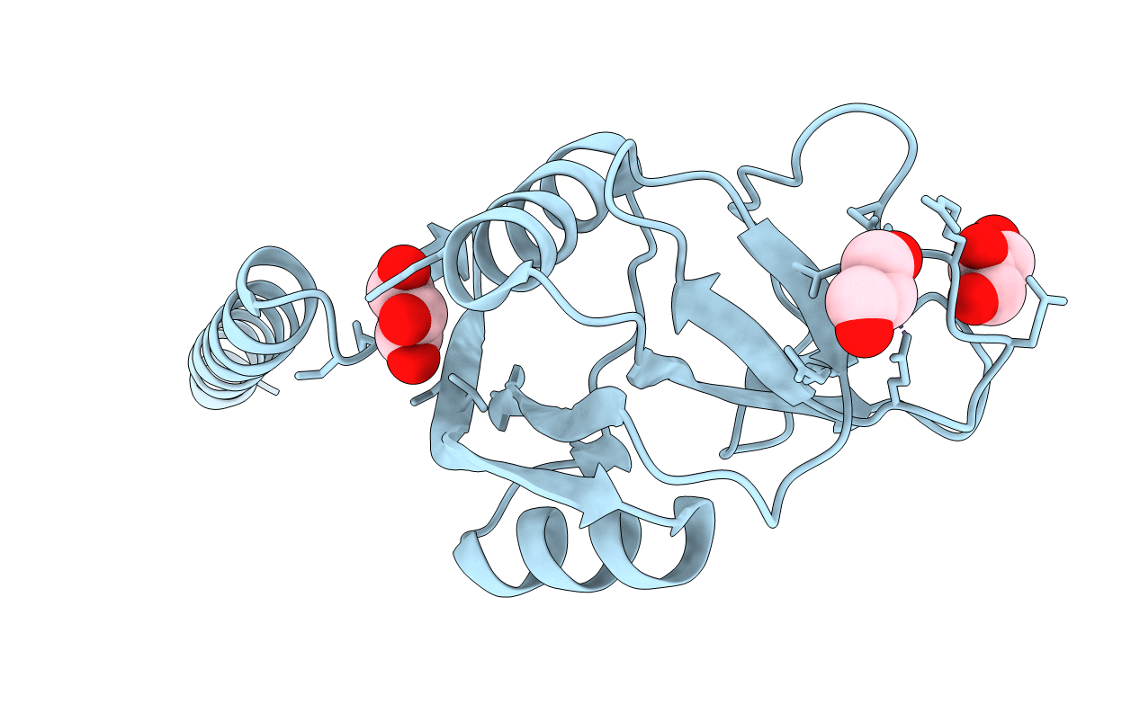 3PBF image