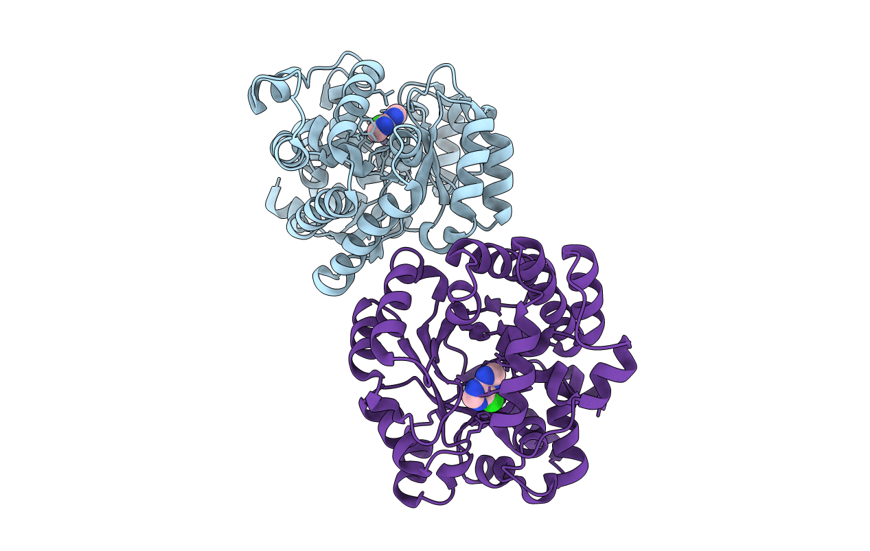 3PBM image