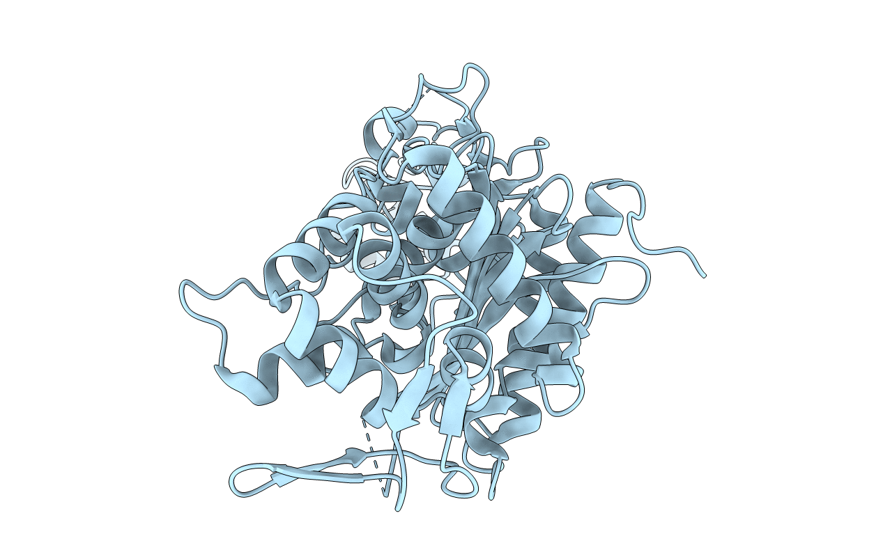 3PBN image