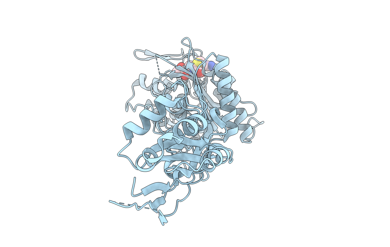 3PBQ image