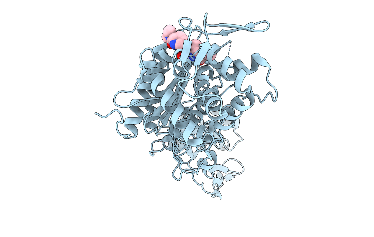 3PBR image