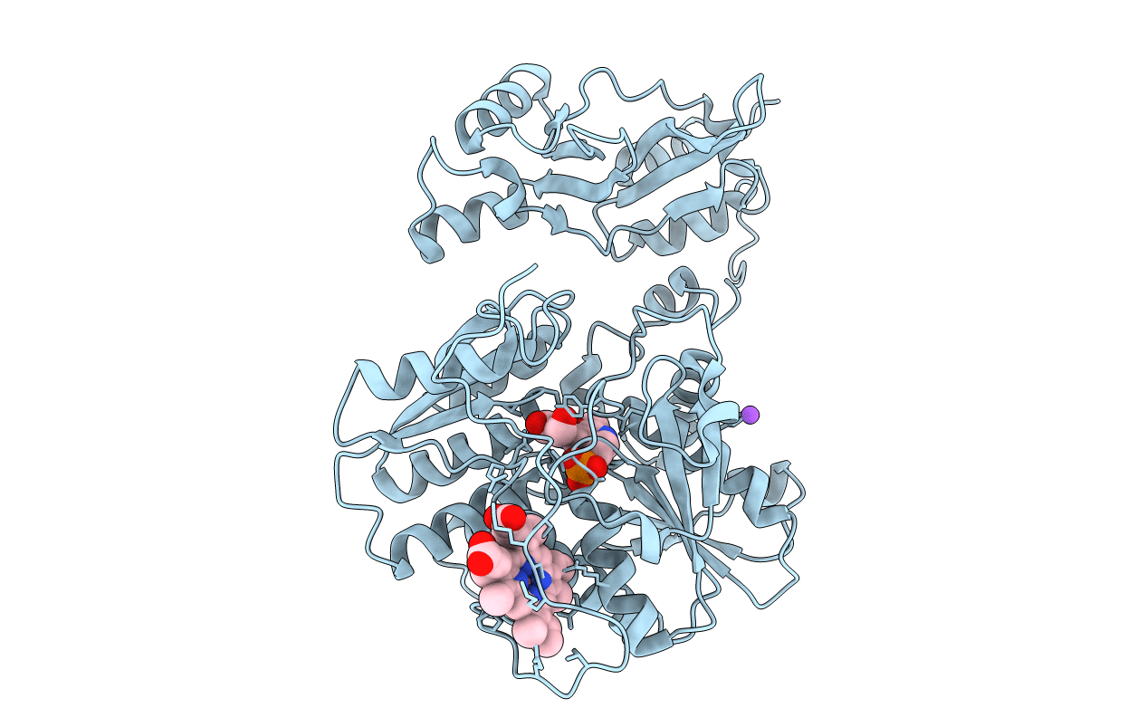 3PC4 image