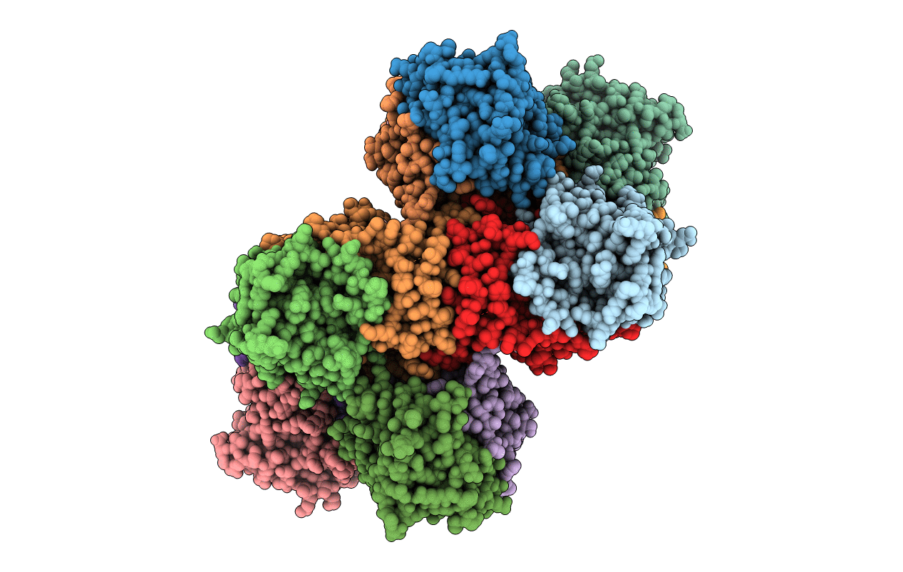 3PCN image