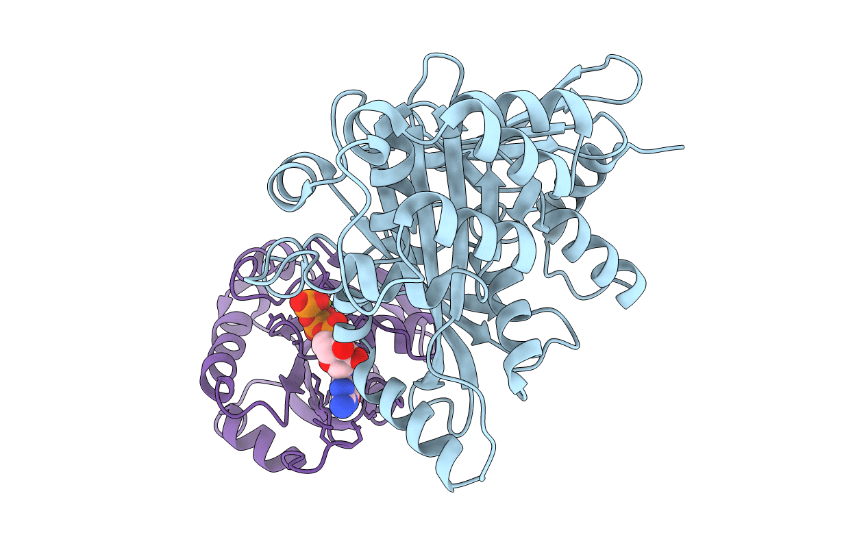 3PCR image