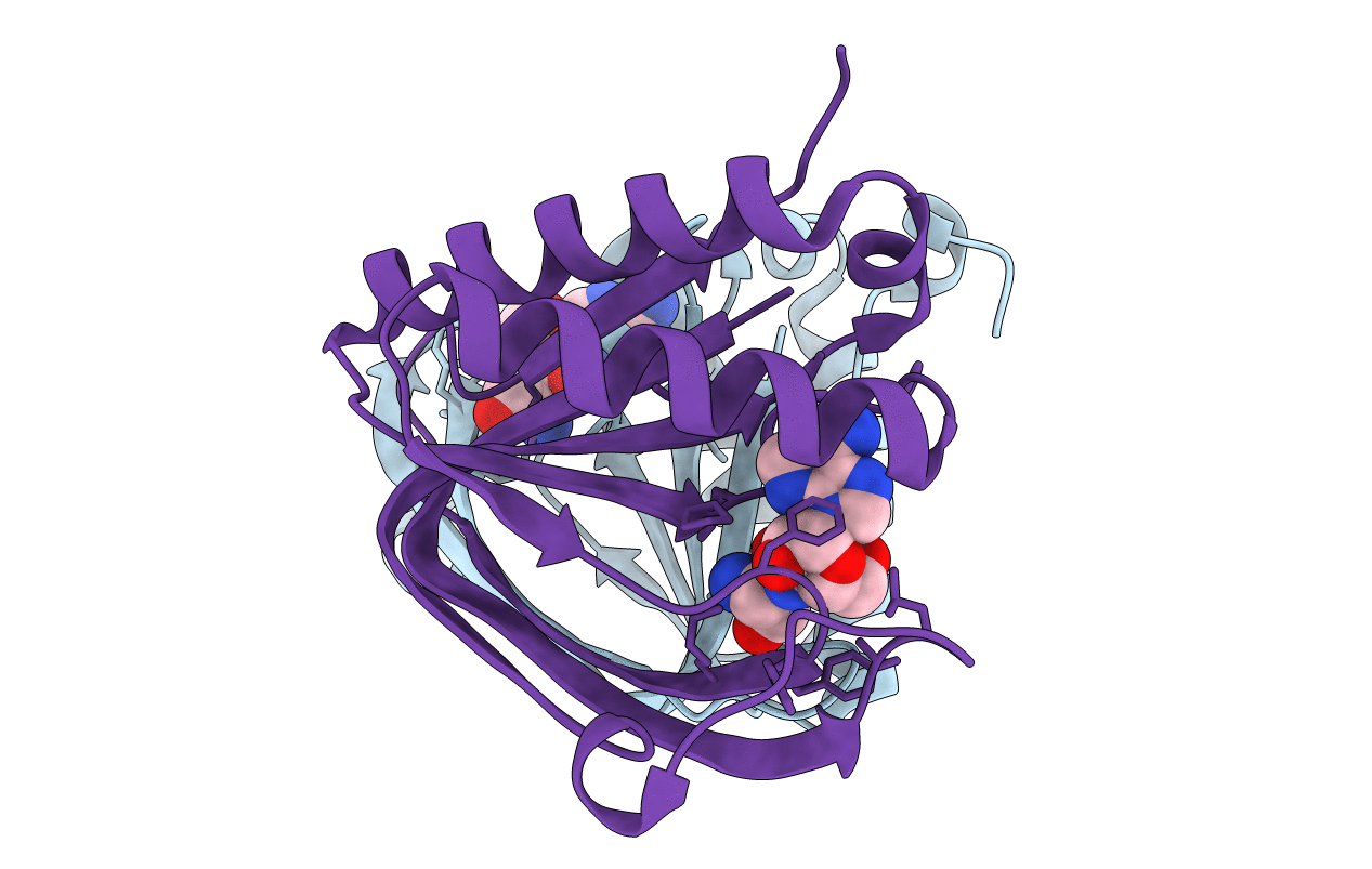 3PD2 image