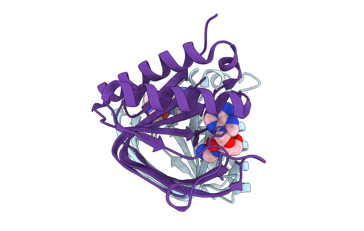 3PD4 image