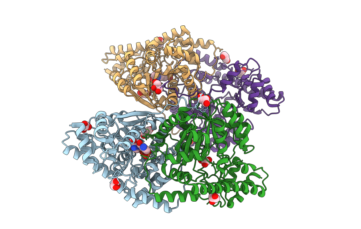 3PD6 image