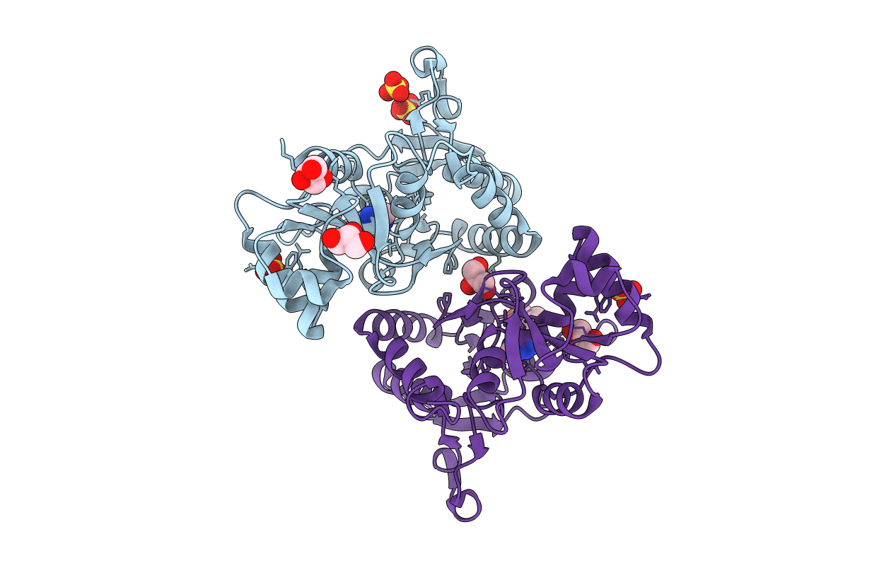 3PD9 image