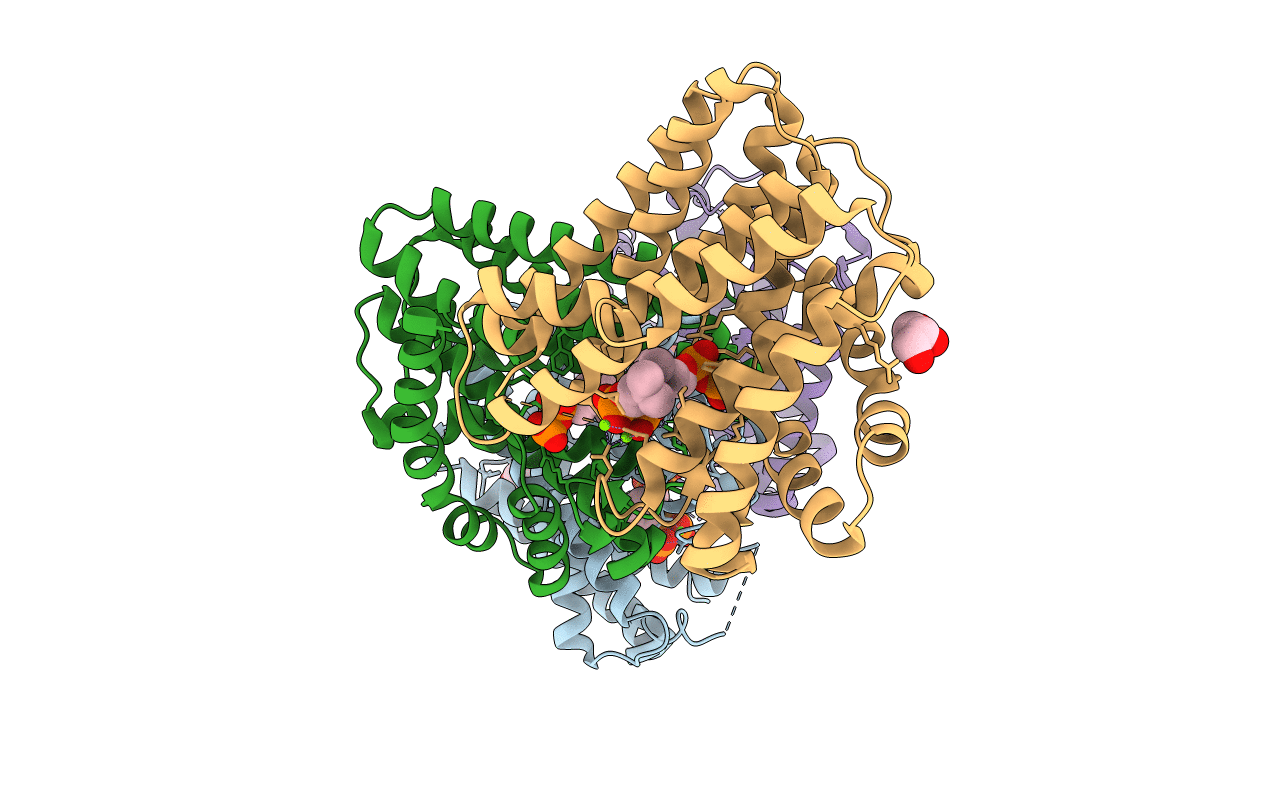 3PDE image