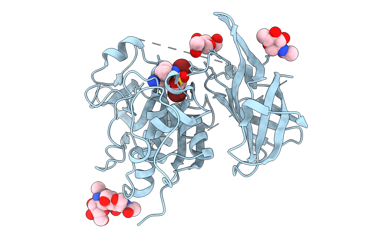 3PDF image